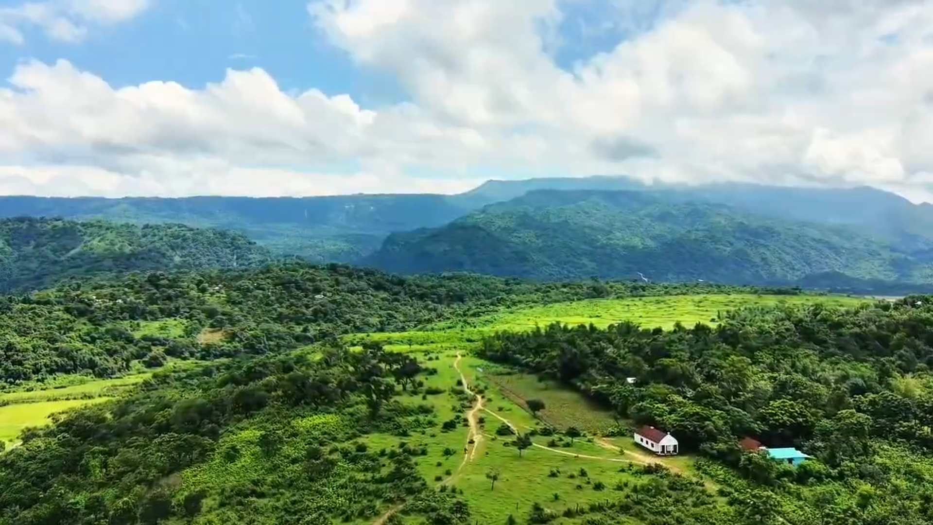 Green Horizons